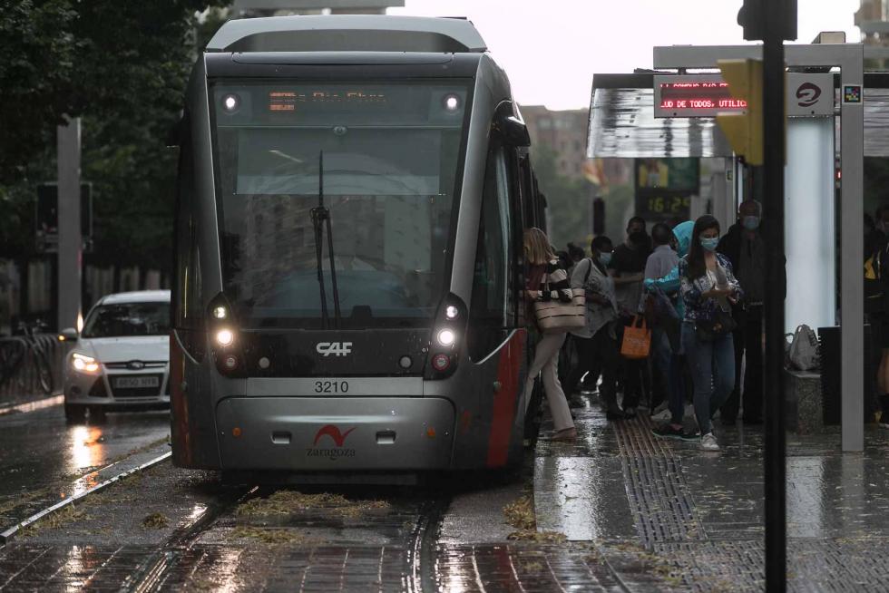 Tomenta en Zaragoza