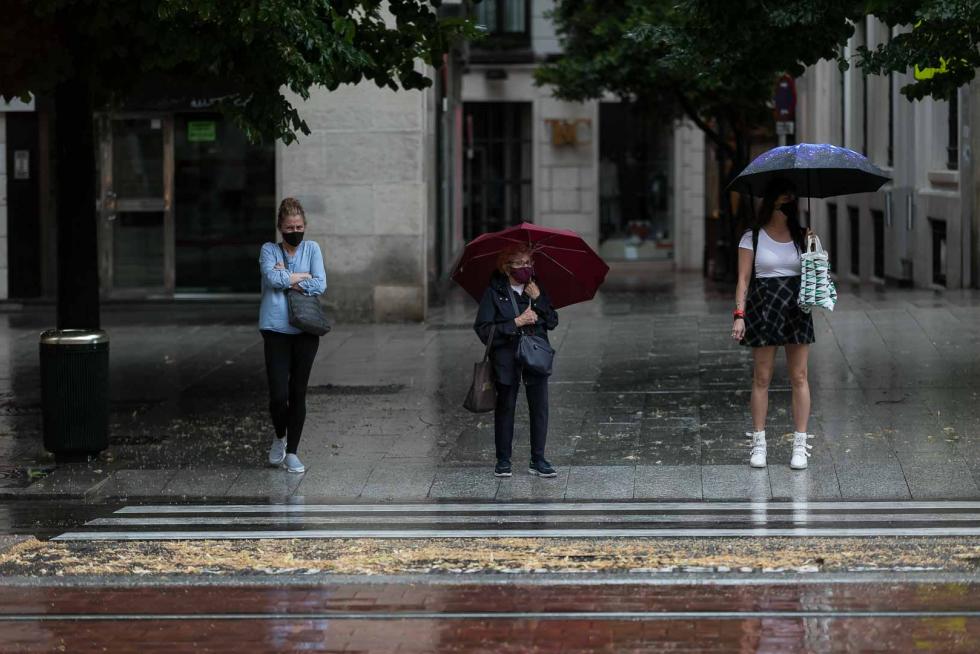 Tomenta en Zaragoza