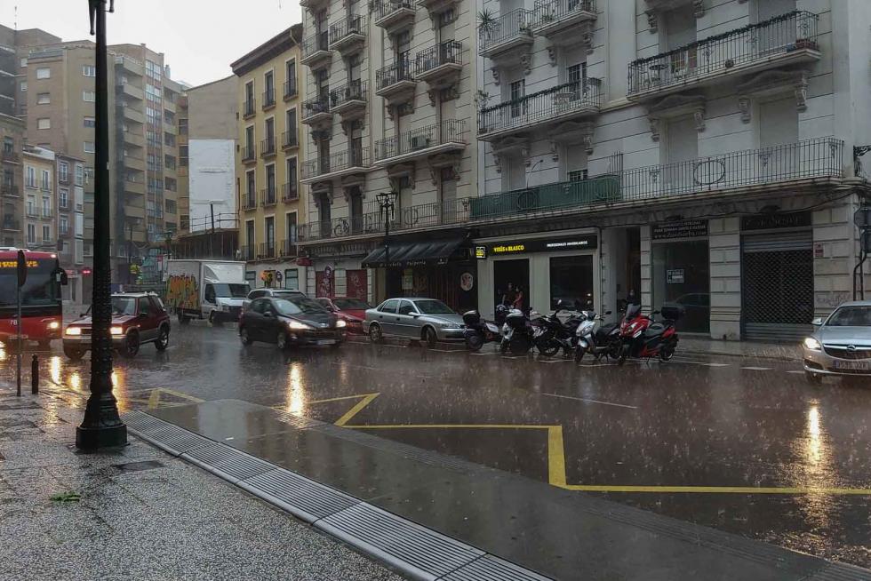 Tomenta en Zaragoza