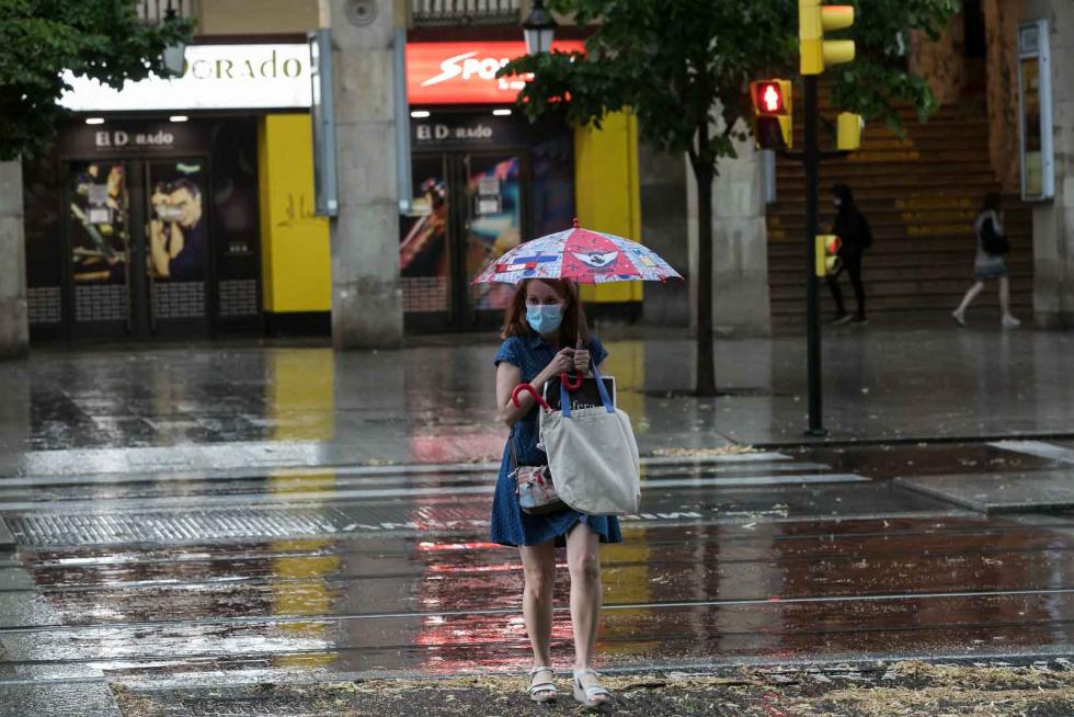 Tomenta en Zaragoza