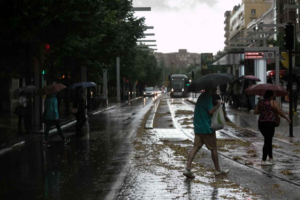 Tomenta en Zaragoza
