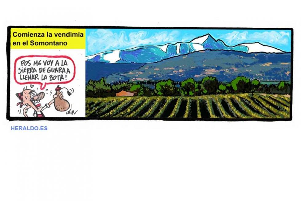 Supermaño Somontano, viñena 18 de agosto.