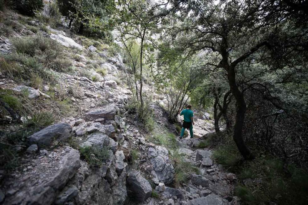 Ruta de las pasarelas de Aliaga