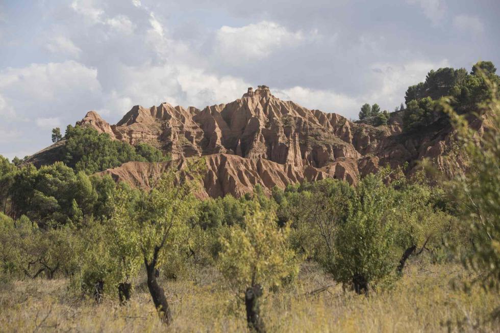 Cárcavas de Morata de Jiloca