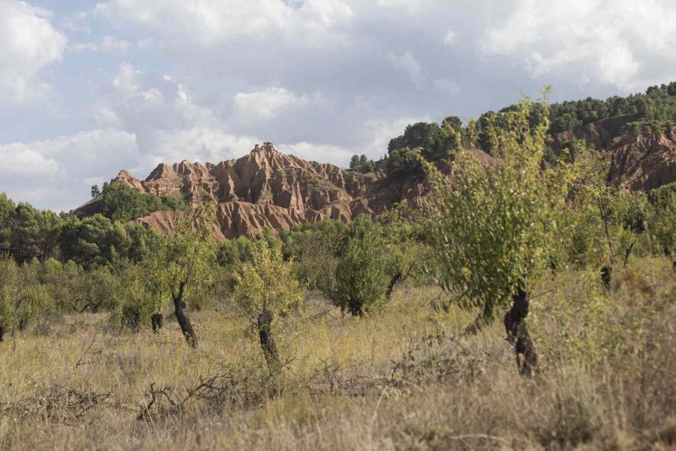 Cárcavas de Morata de Jiloca