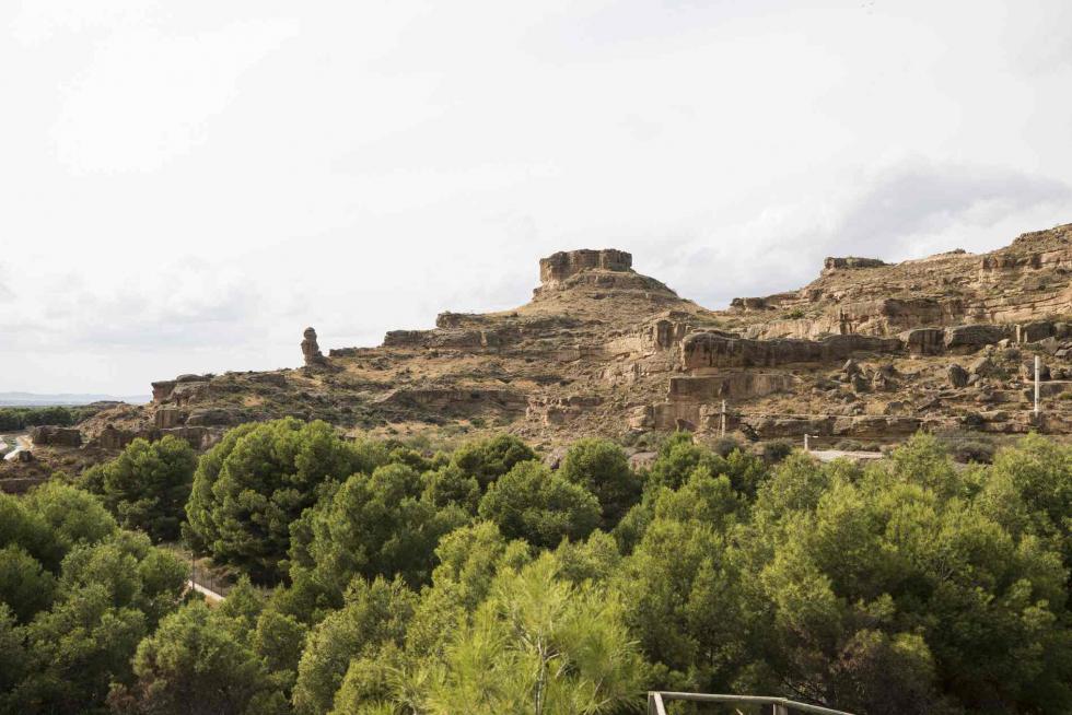 Torrollones de Alberuela de Tubo