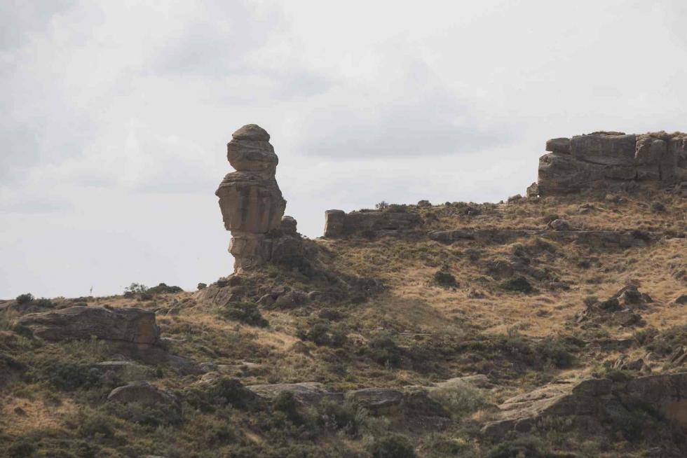 Torrollones de Alberuela de Tubo