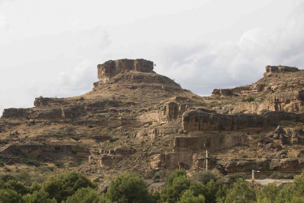 Torrollones de Alberuela de Tubo