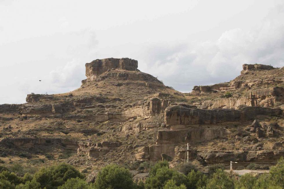 Torrollones de Alberuela de Tubo