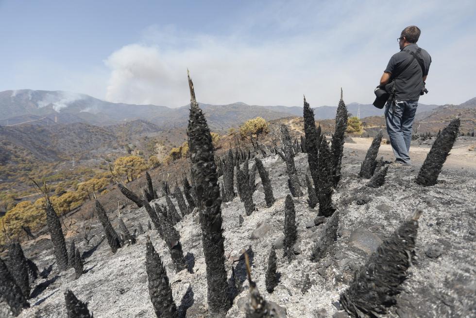 Incendio en Sierra Bermeja