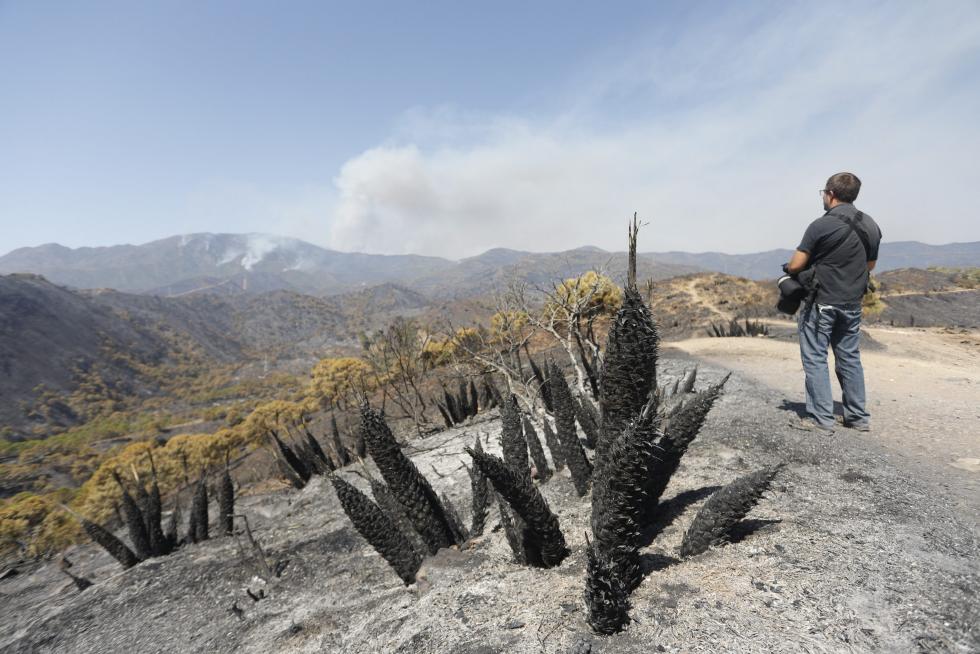Incendio en Sierra Bermeja