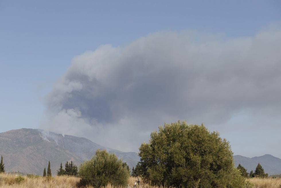 Incendio en Sierra Bermeja