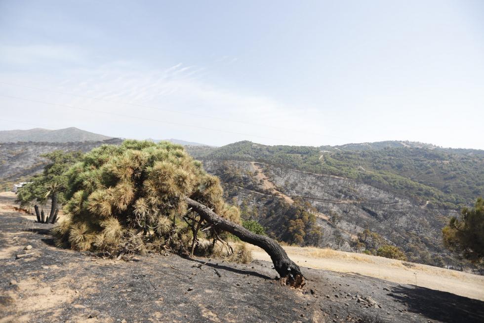 Incendio en Sierra Bermeja