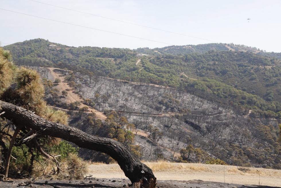 Incendio en Sierra Bermeja