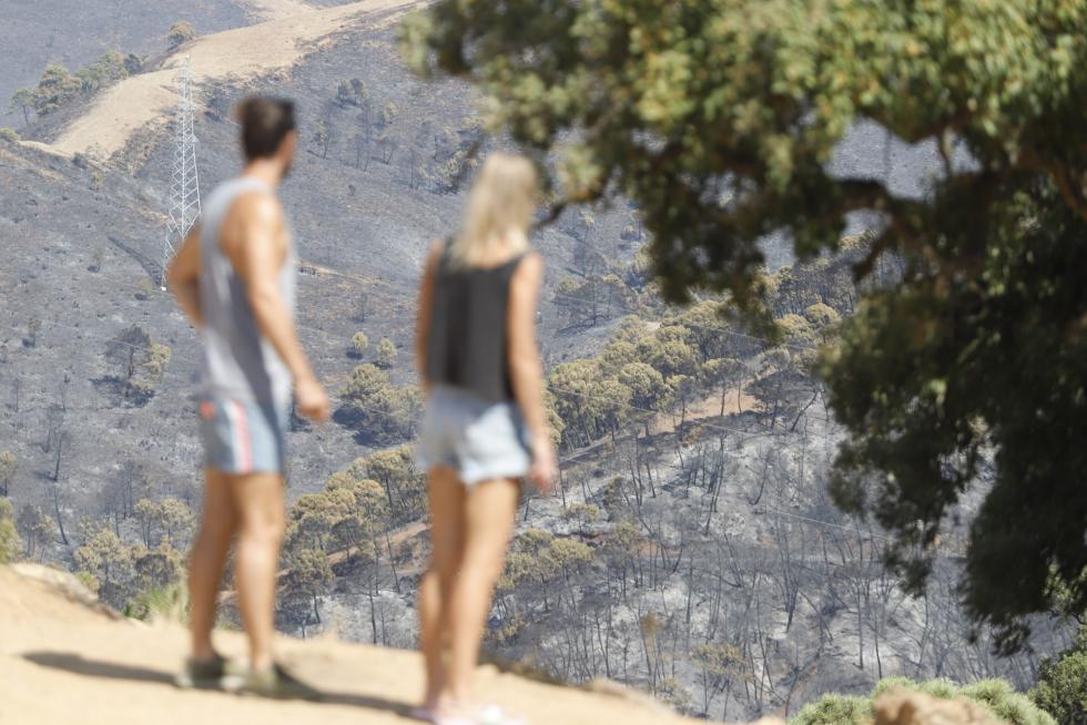 Incendio en Sierra Bermeja