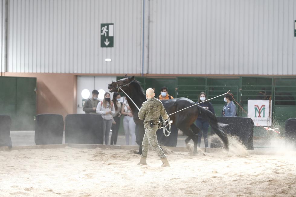 Arranca en Zaragoza Figan 2021, la Feria Internacional para la Producción Animal