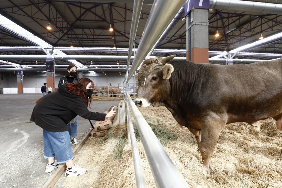 Arranca en Zaragoza Figan 2021, la Feria Internacional para la Producción Animal