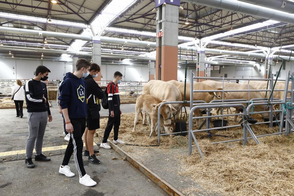 Arranca en Zaragoza Figan 2021, la Feria Internacional para la Producción Animal