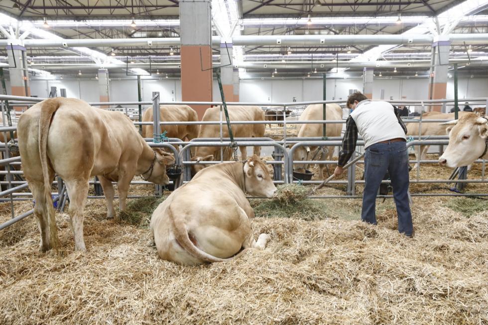 Arranca en Zaragoza Figan 2021, la Feria Internacional para la Producción Animal