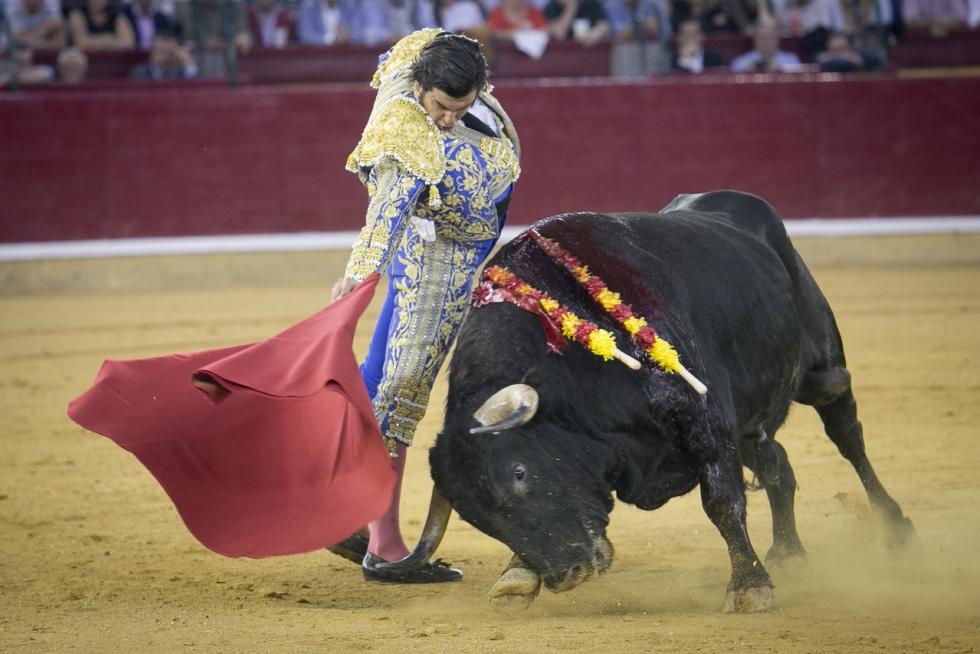 A pocos días de que comiencen las ‘no fiestas’ del Pilar 2021, nos ponemos nostálgicos y tiramos de archivo para recordar algunos de los mejores momentos que nos dejaron los Pilares del 2019, los últimos que vivimos antes de que el covid irrumpiera en nuestras vidas, llenos de conciertos, ferias, música... y mucha gente y alegría en las calles.