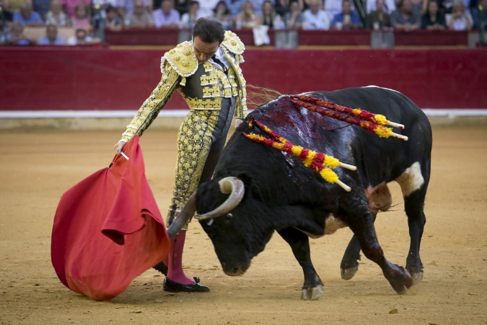 A pocos días de que comiencen las ‘no fiestas’ del Pilar 2021, nos ponemos nostálgicos y tiramos de archivo para recordar algunos de los mejores momentos que nos dejaron los Pilares del 2019, los últimos que vivimos antes de que el covid irrumpiera en nuestras vidas, llenos de conciertos, ferias, música... y mucha gente y alegría en las calles.
