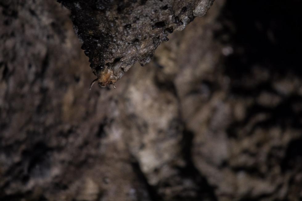 Cueva del Agua
