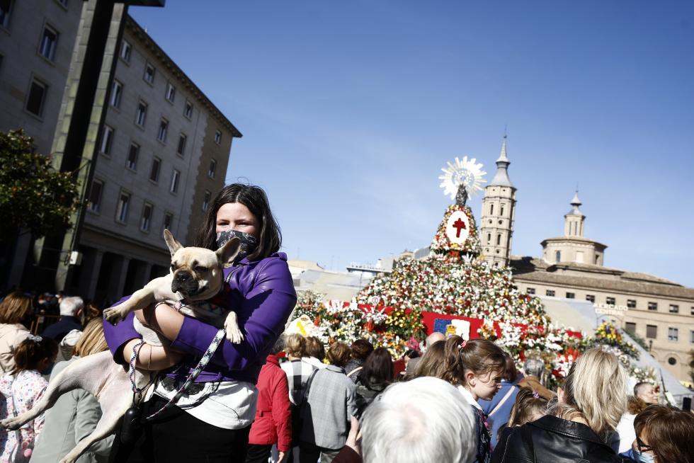 Ambiente en la plaza del Pilar al día siguiente de la Ofrenda de Flores.