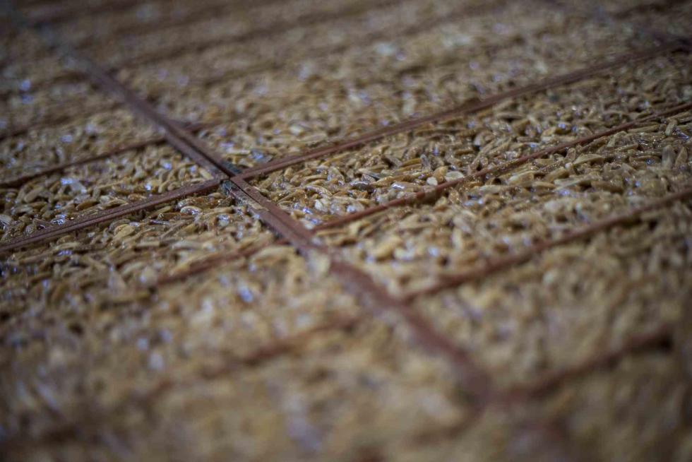 Chocolates Brescó en Benabarre.