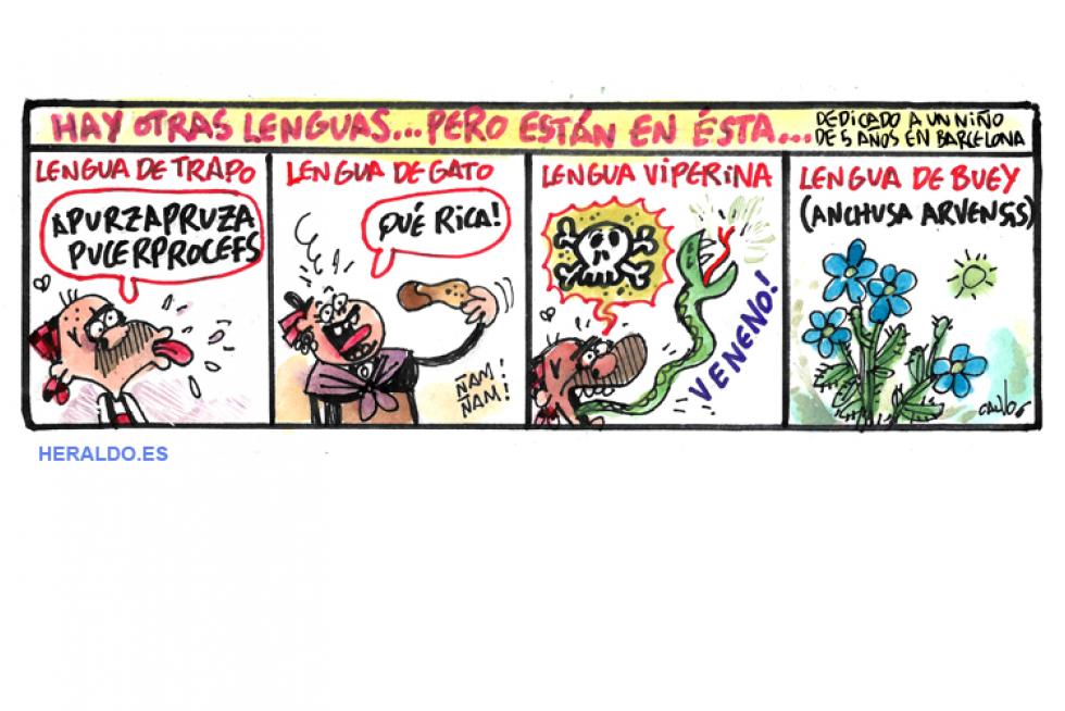 Supermaño lengua