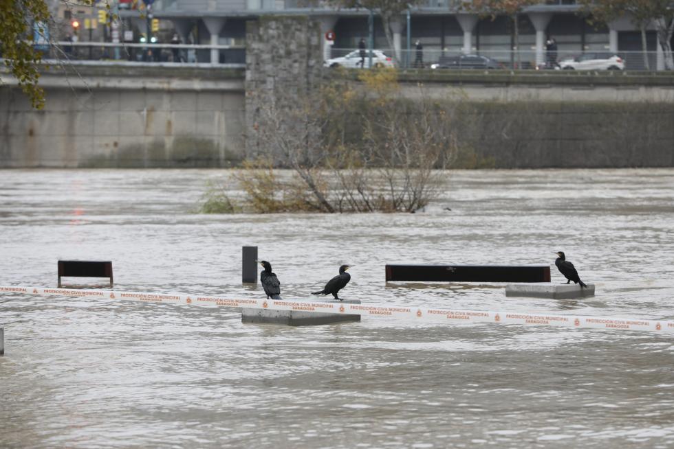 El río Ebro, a su paso por Zaragoza este martes, 14 de diciembre.