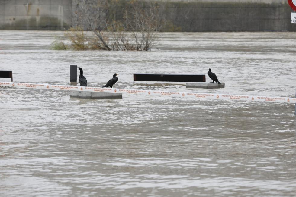 El río Ebro, a su paso por Zaragoza este martes, 14 de diciembre.