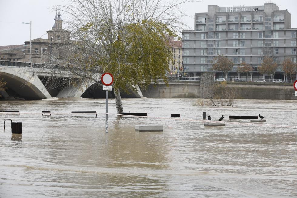El río Ebro, a su paso por Zaragoza este martes, 14 de diciembre.