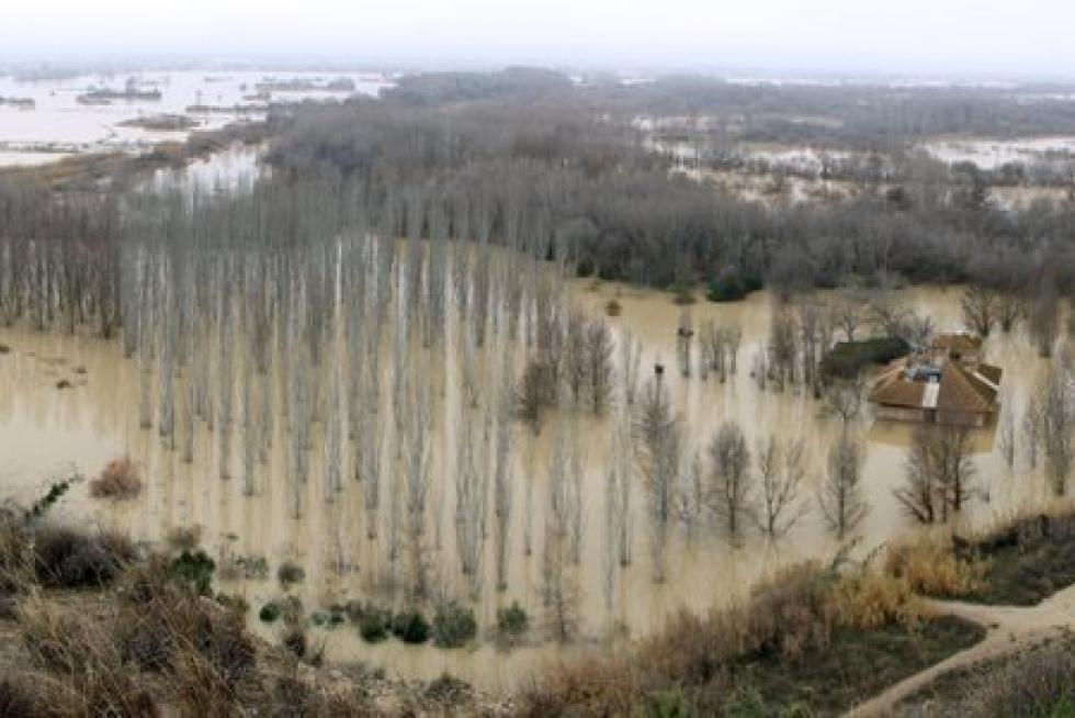 Imagen del galacho de Juslibol, este martes.