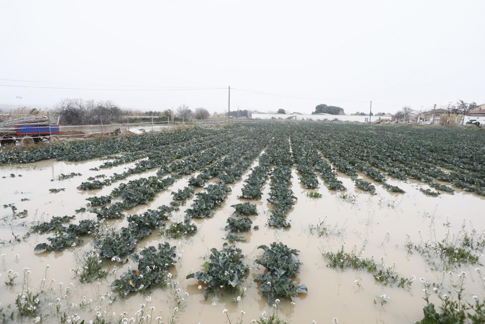 Inundaciones de casas y campos en Monzalbarba este martes por la mañana.