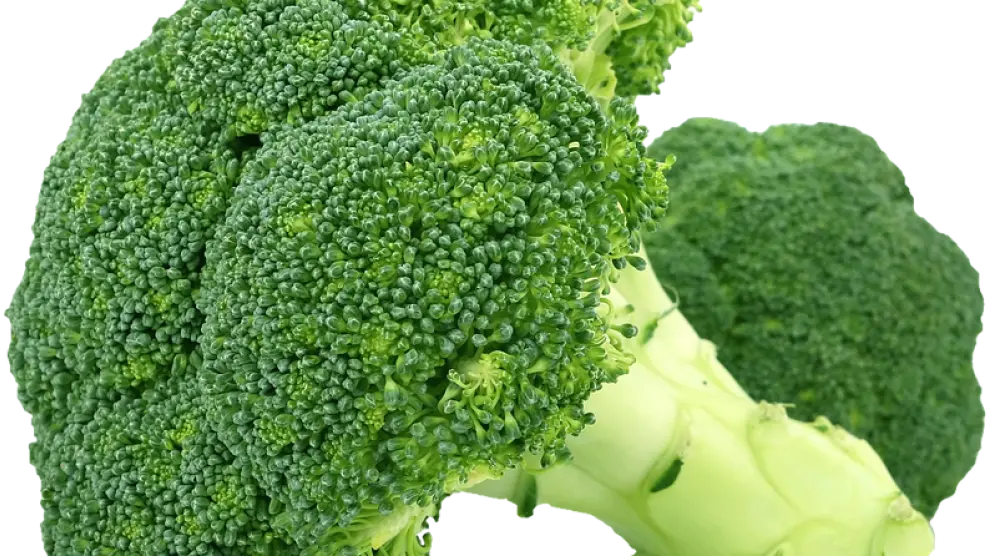 El brócoli es una excelente fuente de calcio.