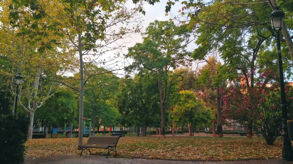 Una imagen de la plaza de Los Sitios, llena de hojas caídas, este martes.