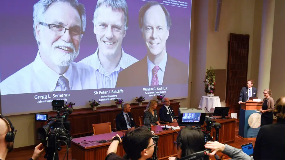 Ceremonia en la que se ha anunciado a William G. Kaelin, Gregg L. Semenza y Peter J. Ratcliffe como ganadores del premio Nobel de Medicina 2019
