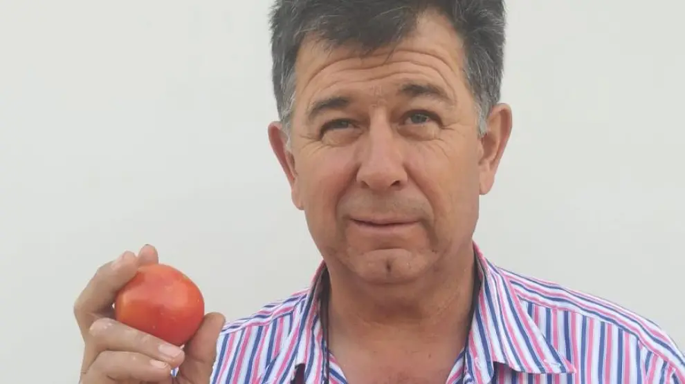 Carlos Gil muestra un ejemplar de tomate zaragozano en su mano derecha frente a una variedad más comercial, en la izquierda.