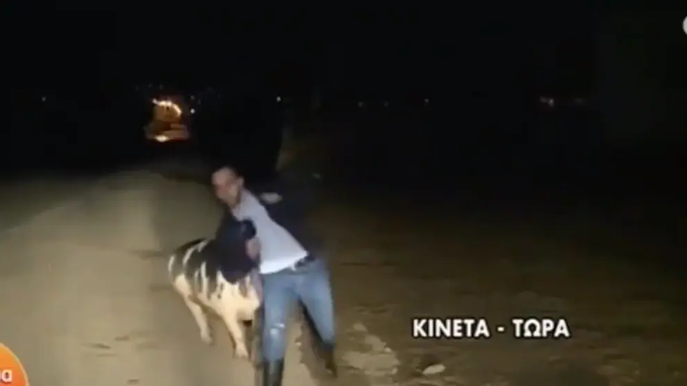 Captura del vídeo del cerdo persiguiendo al periodista