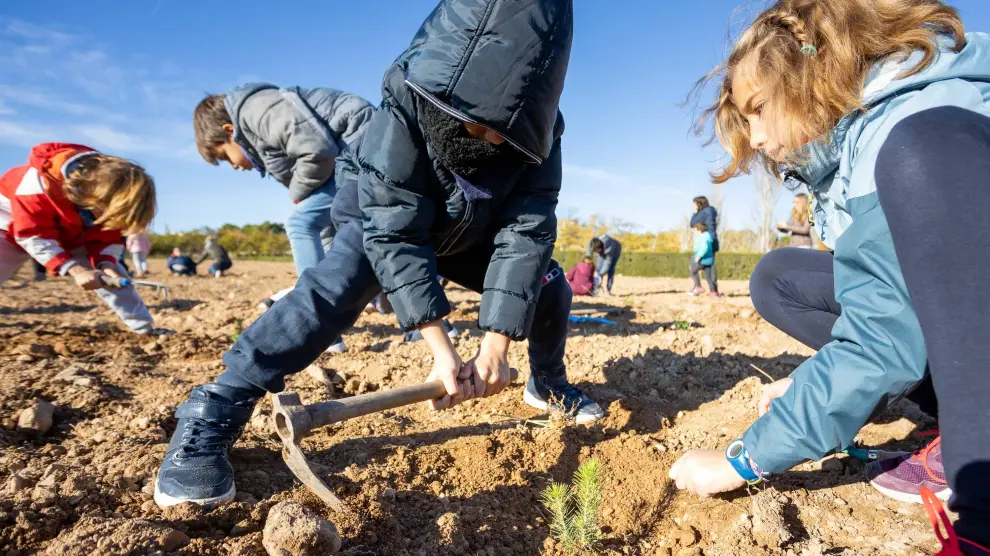 Escolares de primaria del CEIP Valdespartera de Zaragoza participan en la plantación de árboles para hacer un nuevo parque