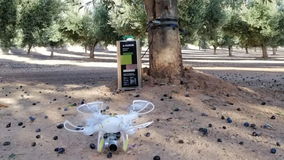 Se utilizan drones cuyas imágenes ofrecen información sobre el estado vegetativo de la explotación.
