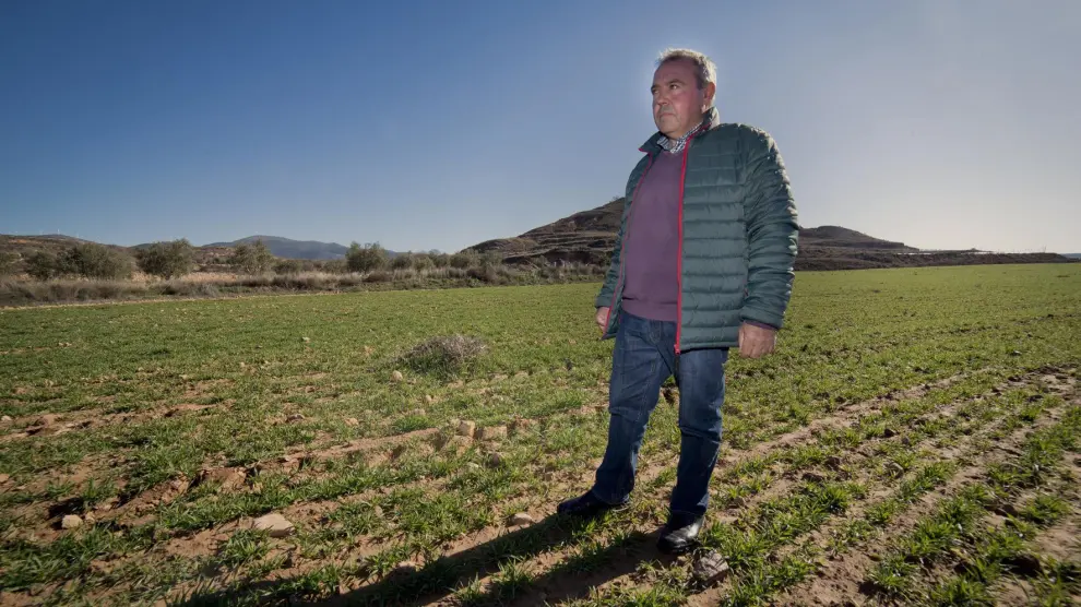 José Manuel Sebastián, agricultor y alcalde de Aniñón, en un campo de cereal.