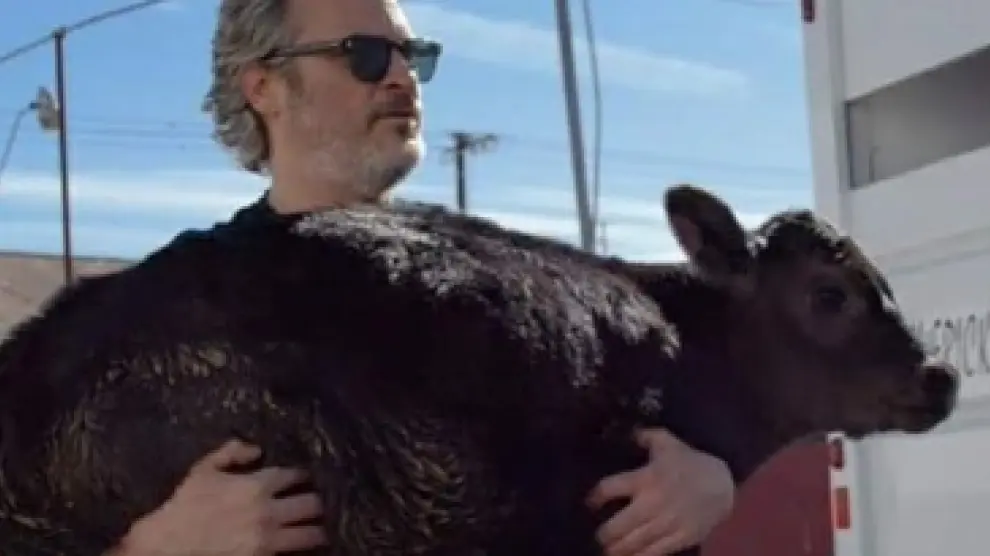 Joaquín Phoenix rescató a una vaca y a su ternero tras ganar el Óscar