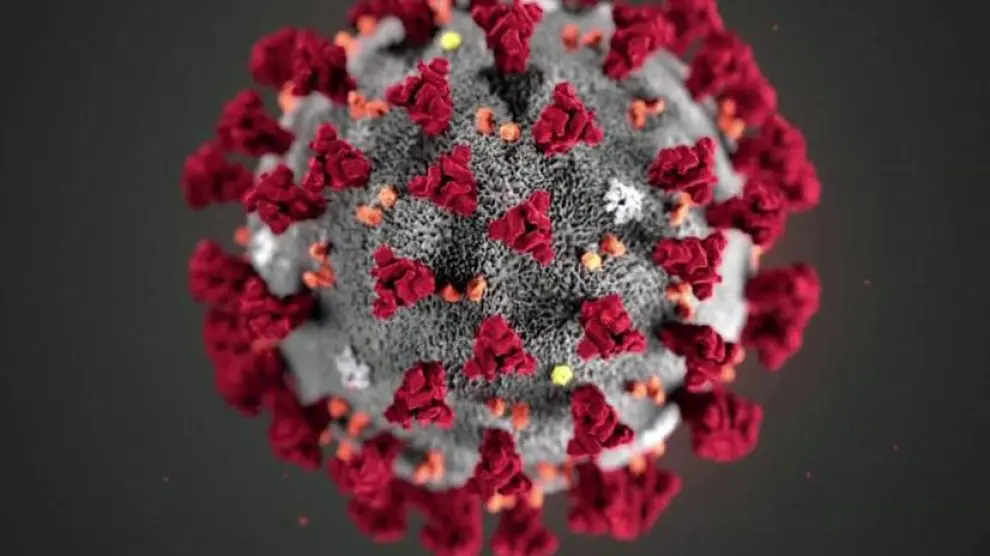El nuevo coronavirus SARS-CoV-2, causante de la enfermedad Covid-19.