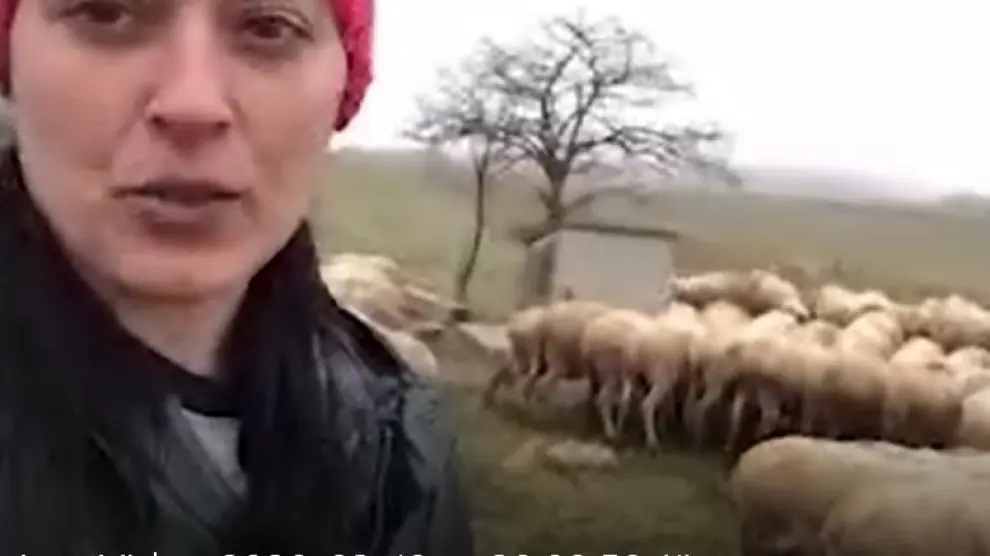 Silvia, ganadera de ovino de Teruel, protagonista del video realizado por UPA en Aragón.