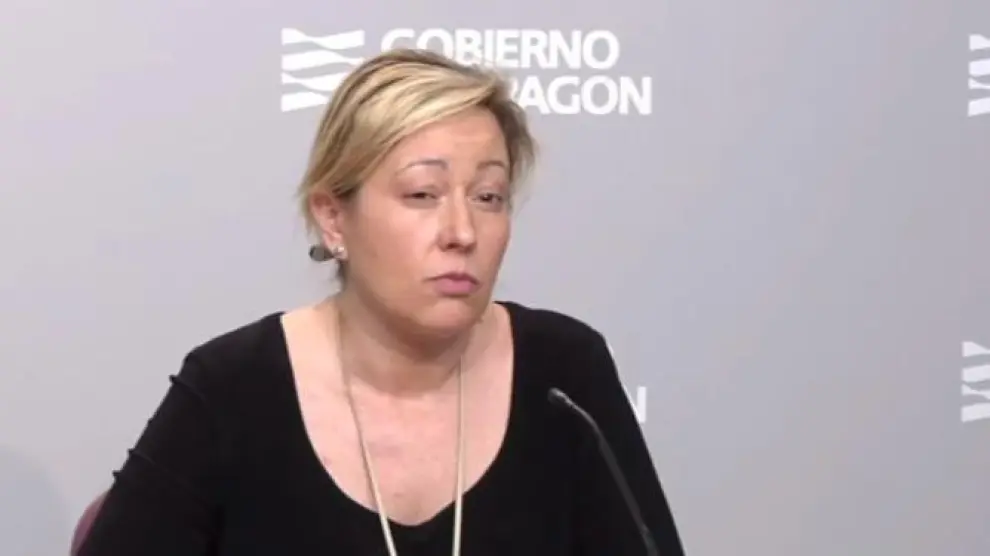Marta Gastón, consejera de Economía, explica las medidas.