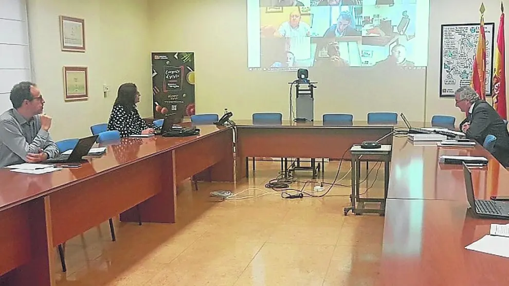 El consejero de Agricultura y miembros de su equipo, en videoconferencia con representantes del sector.