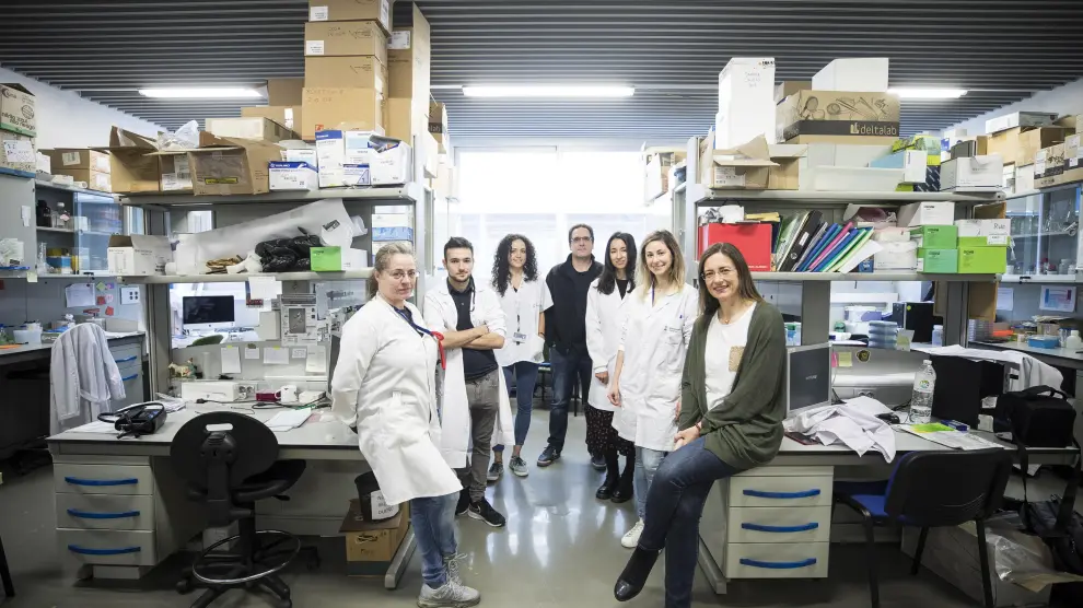Grupo del investigador Araid Adrián Velázquez (al fondo), en el Bifi, donde se va a comenzar a rastrear en busca de compuestos antivirales. l. U.