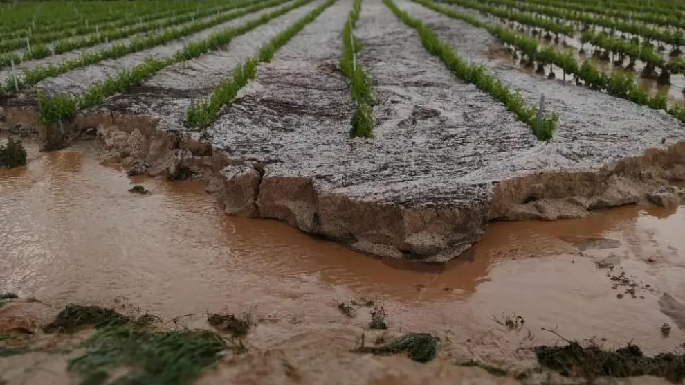 Daños causados por las fuertes tormentas en la comarca del Campo de Borja.