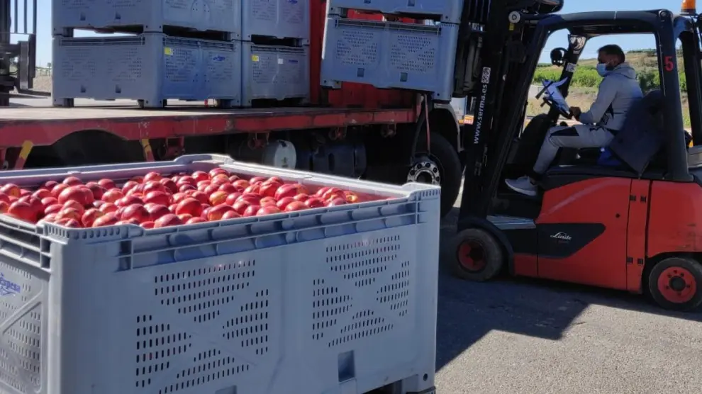 Llegada de fruta a las instalaciones de La Espesa de Zaidín, donde las piezas serán seleccionadas y envasadas antes de su envío a diferentes países de Europa.